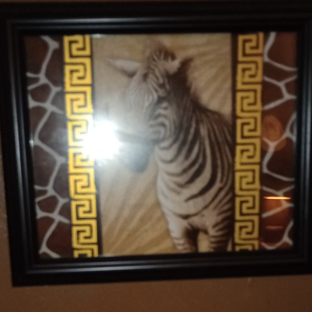 Zebra